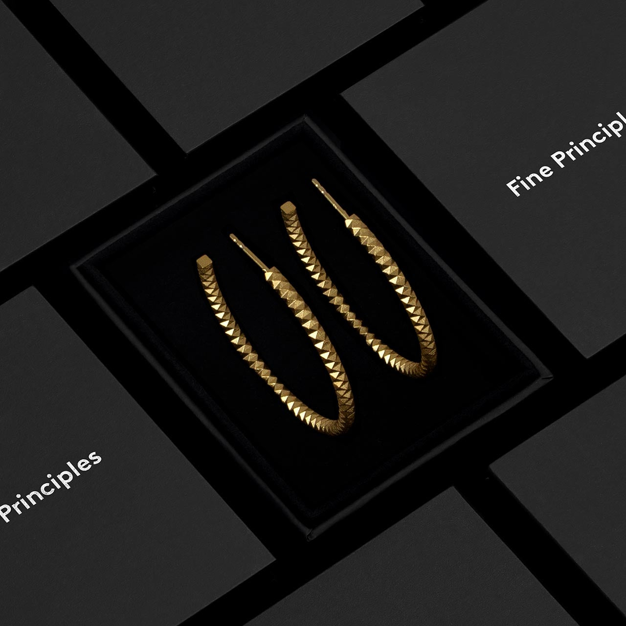 Elegant-facettierte Kreolen XFCE10242L mit 1024 Facetten, nachhaltig gefertigt aus zertifiziert recyceltem 750 Gold oder 935 Silber — moderner Schmuck von Fine Principles, stilvoll verpackt in einer schwarzen Box.